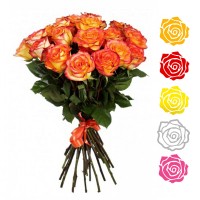 15 роз (70 см), цвет в ассортименте